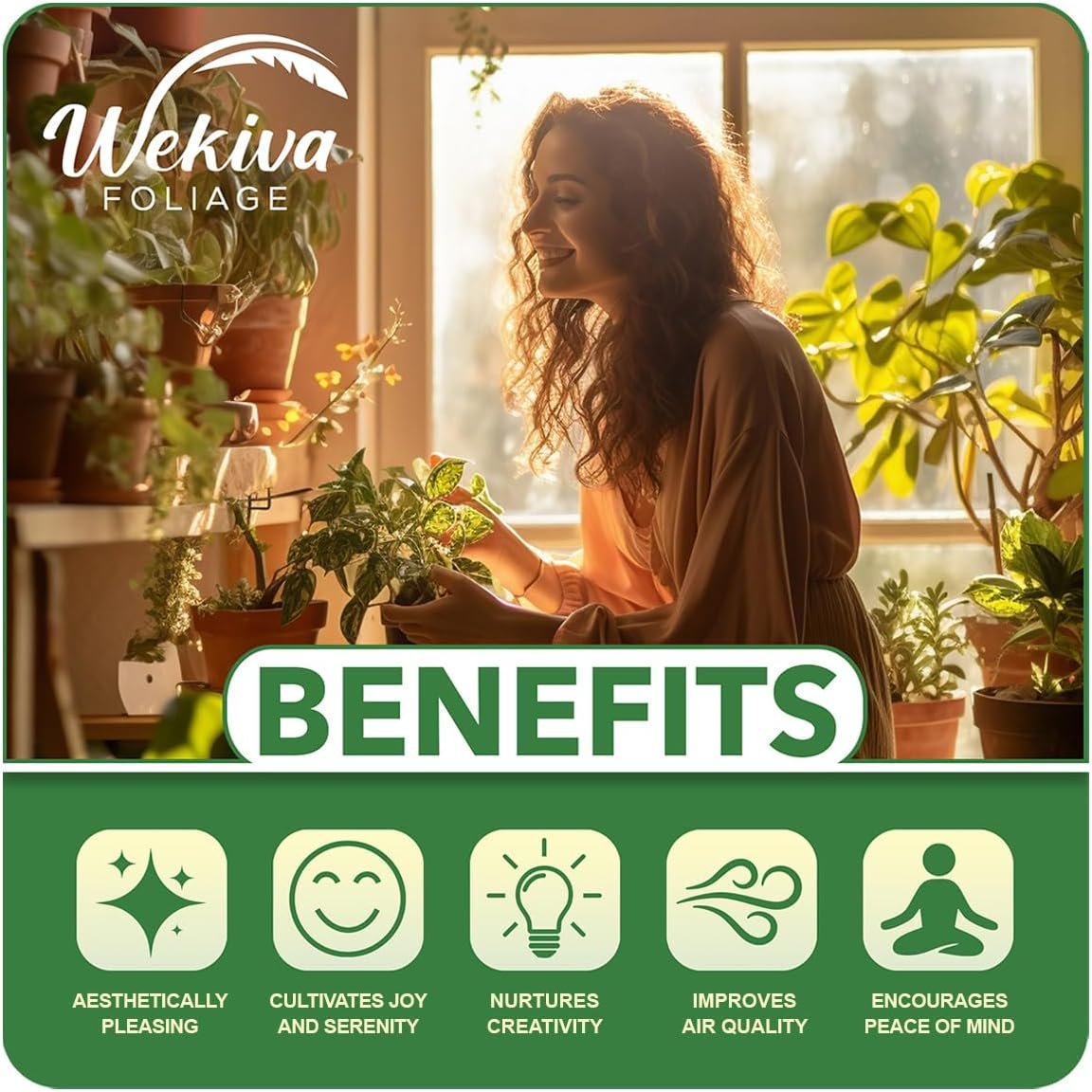 Christmas Cactus Variety 4pack - 4 Live Starter Plants - Schlumbergera Bridgesii - Growers Choice Beautiful Colorful Tropical Indoor Succulent - Image 3